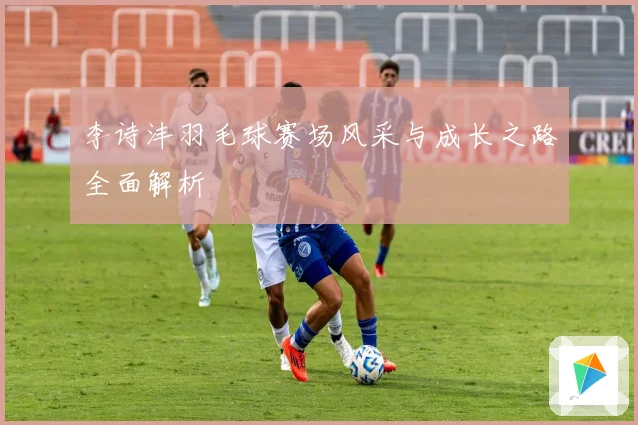 李诗沣羽毛球赛场风采与成长之路全面解析