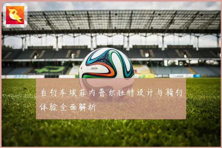 自行车埃菲内普尔独特设计与骑行体验全面解析