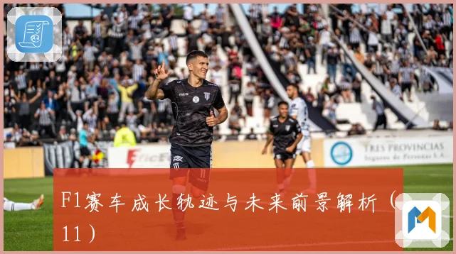 F1赛车成长轨迹与未来前景解析（11）