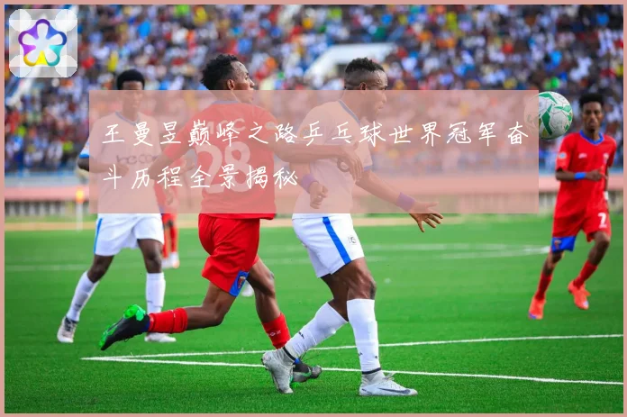 王曼昱巅峰之路乒乓球世界冠军奋斗历程全景揭秘