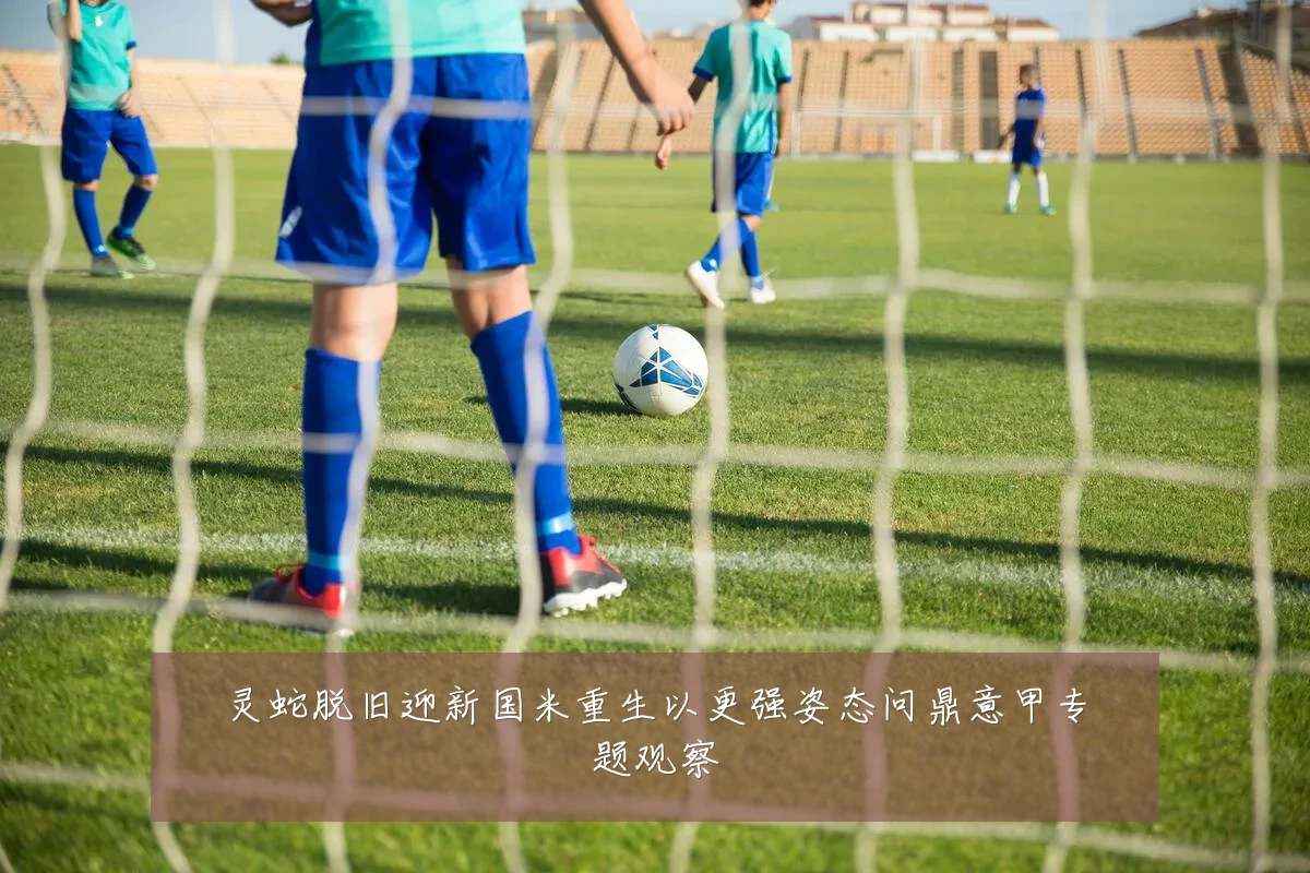 灵蛇脱旧迎新国米重生以更强姿态问鼎意甲专题观察